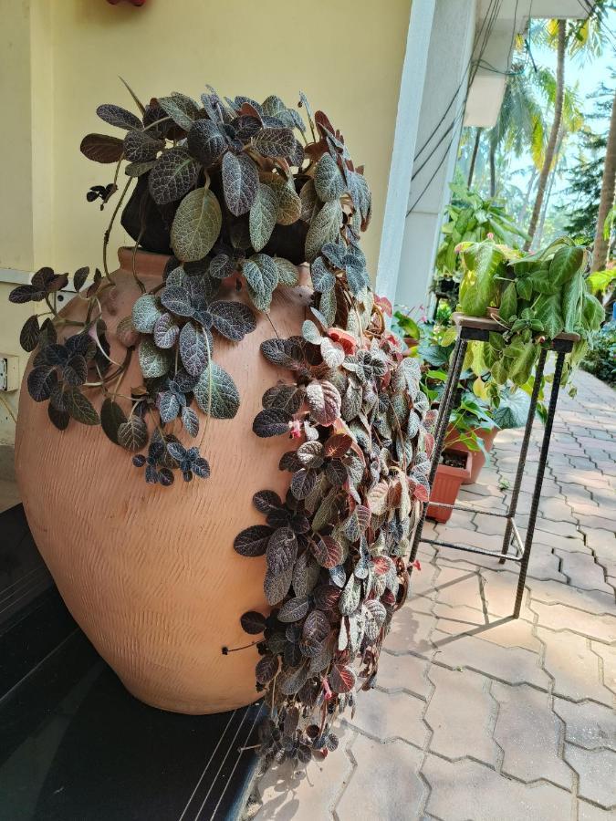 Sabinas Goa Guest house Saligao